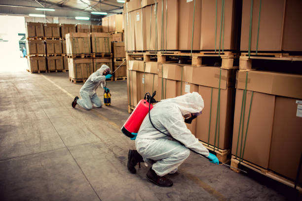 Best Residential Pest Control  in Swarthmore, PA