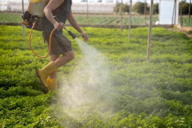 Best Pest Prevention Services  in Swarthmore, PA