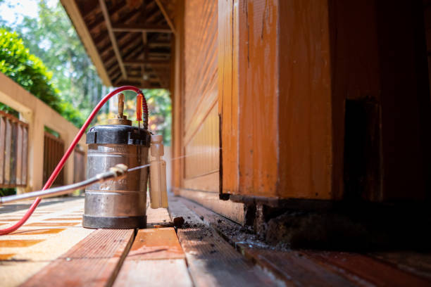 Best Local Pest Control Services  in Swarthmore, PA