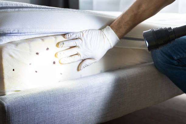 Flea Control Services in Swarthmore, PA