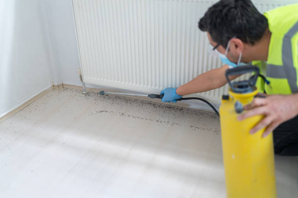 Best Termite Control Services  in Swarthmore, PA